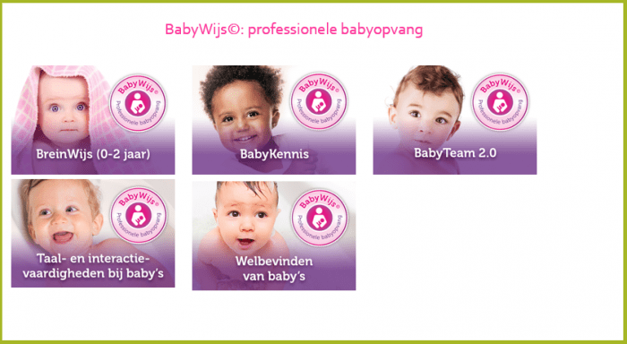 BabyWijs: Taal- en interactievaardigheden bij baby's