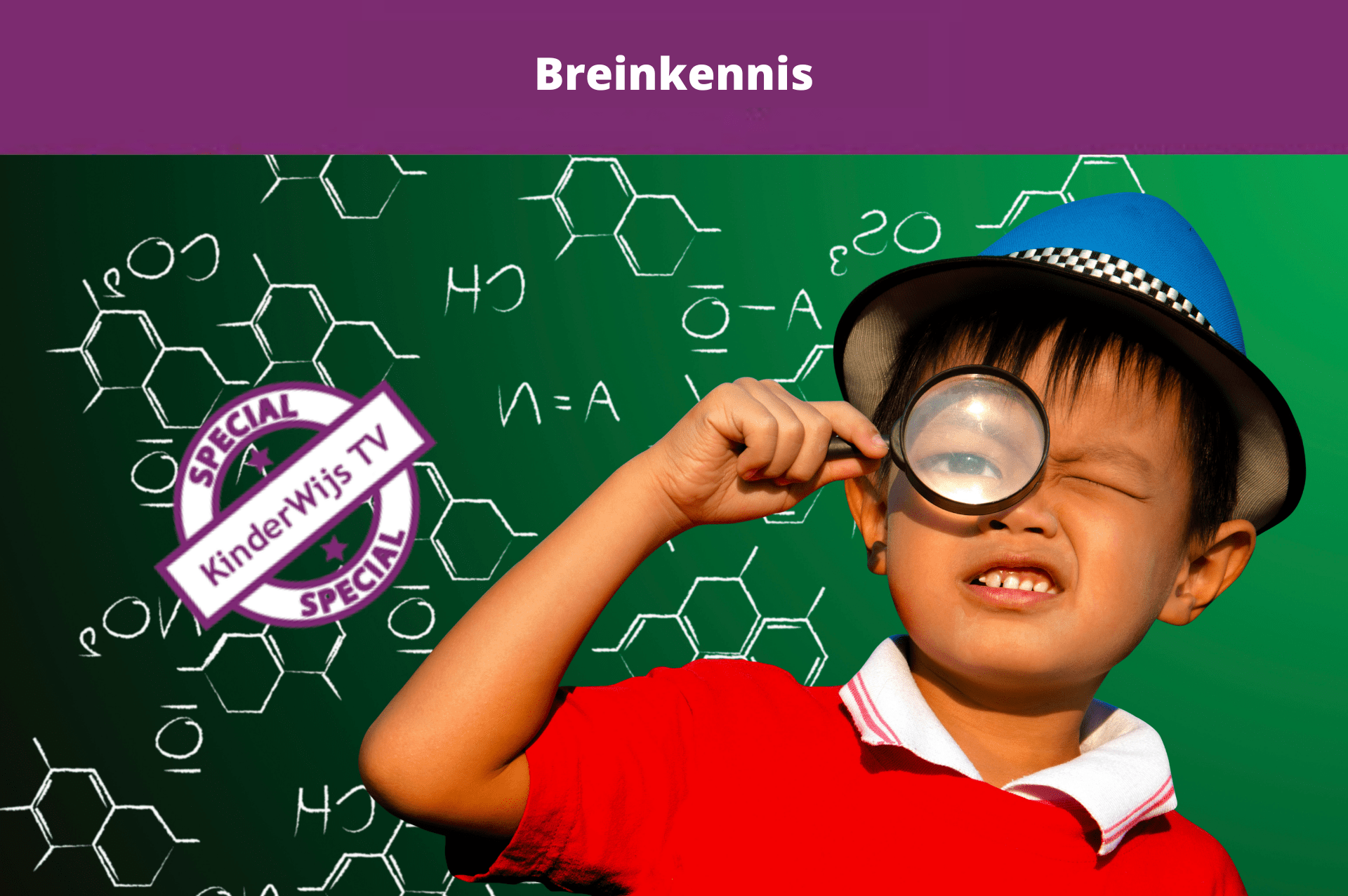 Breinkennis